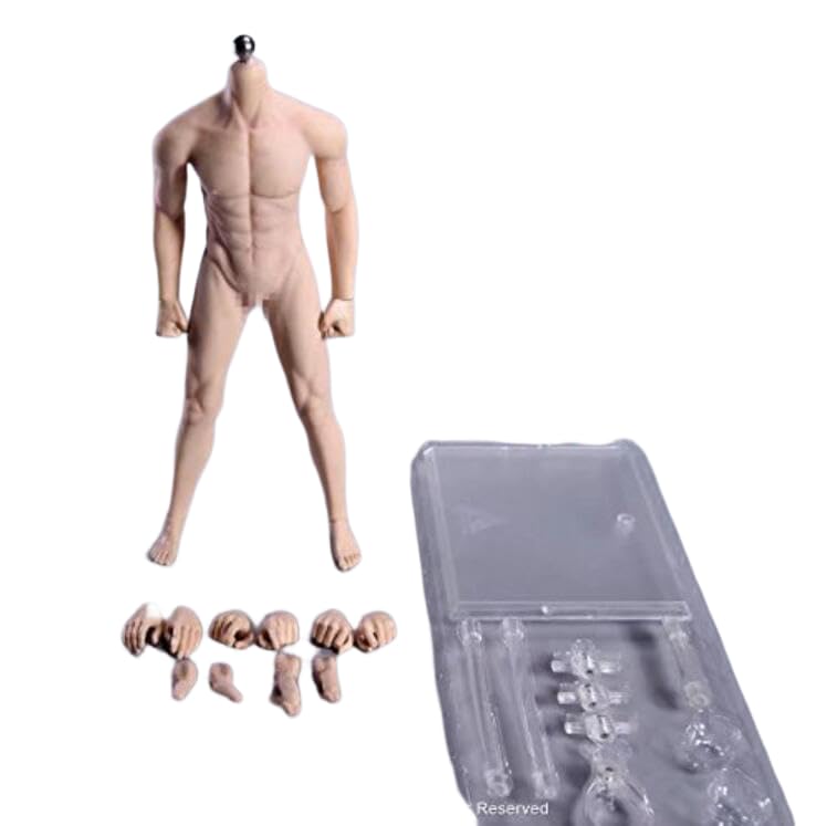Amazon.co.jp: Neinei 1/6 男性 シームレス 素体 フィギュア ボディ 超