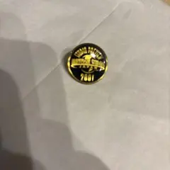 2026年最新】usj ピンバッジ スタジオプレビューの人気アイテム - メルカリ