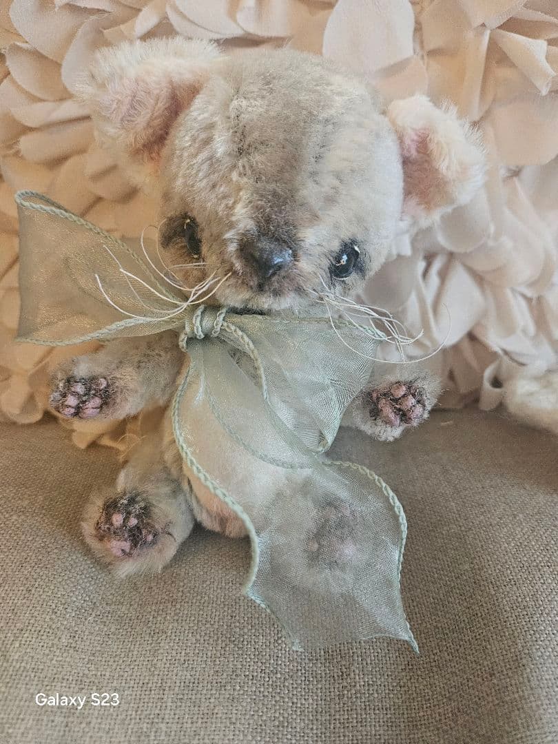 ひげ付きグレーュ猫、テディベア ♢テディベア合同展 『フルーツ展』開催中♢2月6日（金）～2月23日（月