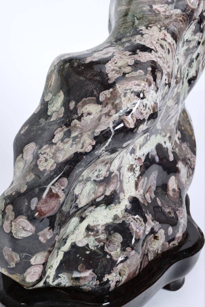 紅梅 梅花石 台座付 15kg 鑑賞石 牡丹石 菊花石 紋石 水石 原石 飾石