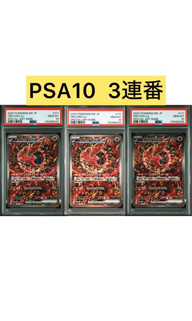 【PSA10】3連番　オドリドリex SAR PSA10鑑定済〕オドリドリex【SAR】{111/080} - カードラッシュ[ポケモン]